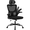 WOLTU Sedia Ufficio Ergonomica, Sedie Ufficio a Rete Traspirante, Con Supporto Lombare Adattativo a Forma Di C, Poggiatesta Regolabile, Braccioli Ribaltabili, per Scrivania, Casa, Nero
