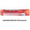 Boiron LACHESIS MUTUS 7CH GR BO