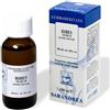 Sarandrea Marco &c. Ribes Nigrum 100 Ml Macerato Glicerico