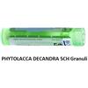 Boiron Phytolacca De Boi 5ch 80gr