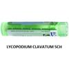Boiron Lycopodium Cl Boi 5ch 80gr
