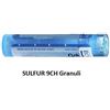 Boiron Sulfur Boi 9ch 80gr 4g