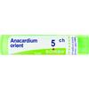 Boiron Anacardium Orientale 5 Ch 80 Granuli 4g