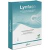 Aboca Lynfase Concentrato Fluido 12 Flaconcini Da 13,3 G