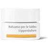 DR. HAUSCHKA Face Care Balsamo per le labbra 4,5gr - Balsamo Labbra