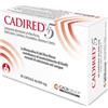 CA.DI.GROUP SpA Cadired 5 36cps - - 939757478