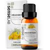 SenseLAB Olio essenziale di Elicriso - Olio di Elicriso Naturale e Puro al 100% Terapeutico per Umidificatore e Diffusore di Aromaterapia - Olio per la Cura Della Pelle - Rilassante e Lenitivo (10 ml)