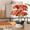 DEGHI Pianta artificiale di orchidea 65h cm arancione in vaso di ceramica bianco
