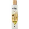 Pantene M Sh Bond Repair 250Ml