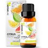 SenseLAB Olio essenziale di Agrumi - Olio di Agrumi Naturale e Puro al 100%, Terapeutico per Umidificatore Diffusore di Aromaterapia (10 ml)