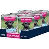 EUKANUBA Cibo umido per cuccioli con trota e patate dolci, alimento umido premium senza cereali per cani junior, 6 x 400 g lattine