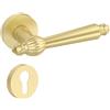Amerdeco Set di maniglia porta in Lega di alluminio, Oro maniglie porte interne maniglia porta blindata, spazzolata, porte interne di bagno e toilette, maniglia porta esterna UK0073