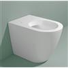Ceramica flaminia Water Link filomuro senza brida cm. 56x36 bianco lucido di Ceramica Flaminia