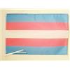 AZ FLAG Bandiera Arcobaleno Orgoglio Transessuale 45x30 cm - Bandierina Trangender - Rainbow Flag 30x45 cm Cordicelle
