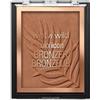 wet n wild Color Icon Terra abbronzante 11 g What Shady Beaches