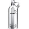 Montale Mango Manga profumo 100ml