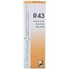 Dr. Reckeweg R 43 Gocce 22 Ml