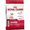 Royal Canin Medium Junior Cibo secco per cani fino a 12 mesi 1000 g