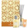 Collistar Cofanetto Benessere Neroli e Elicriso, Cofanetto Regalo Donna, Eau de Toilette 100ml, Crema Corpo 50ml, Fragranza d'Ambiente 100 ml, Profumo Agrumato Energizzante