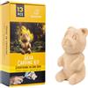 Beavercraft Kit per Intaglio Orso Hobby-Kit DIY05