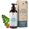 RedMoringa Shampoo seboregolatore Capelli Grassi BIO | Deterge in profondità e ristabilisce pH cute grassa | Shampoo Capelli Grassi 99,5% Naturale, NO SLS, ASL - Con Moringa, Malva, Cannella - RedMoringa 250ml