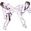 BUDO DISTINTIVO TAEKWONDO