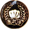 BUDO DISTINTIVO MOO DUK KWAN