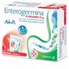 Enterogermina 6 MILIARDI / 2 G POLVERE ORALE 9 BUSTINE PET/AL/PE DA 2 G