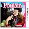 Nintendo Mon Poulain 3D