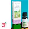 VEGETAL PROGRESS SRL RIBOLIO JUNIOR BIO 10 ML