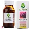 ERBEX SRL SPACCAPIETRA 160 COMPRESSE