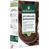 ANTICA ERBORISTERIA SPA HERBATINT 6D BIONDO SCURO DORATO 170 ML