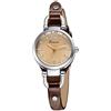 Alienwork Orologio Donna Argento Bracciale in Cuoio Rosolare Retrò Elegante Piccolo