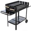 Royal Food CB 280X - Barbecue a carbone