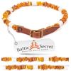 Baltic Secret Selected Baltic Amber Collana in ambra per cani con tubi in ceramica EM - efficaci microorganismi, collare in ambra per cani - Ambra (45 - 50 cm)