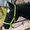 Pferdelinis Cavezza per cavallo, sangue caldo, sangue pieno, sangue freddo - cavezza stalla, cavezza in vimini, 2 posizioni regolabili su sottogola e collo (verde chiaro, sangue caldo (Full)