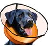 Aschpas® Gonfiabile 2 in 1 per cani con imbuto, protezione contro le perdite per cani dopo OP, Dog Cone, collare per gatti, ciambella per [Taglia 2]
