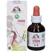 ERBENOBILI Srl Epavin 50 ml Integratore Fegato Erbe Nobili