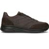 GEOX Sneaker uomo marrone