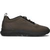 GEOX Sneaker uomo marrone