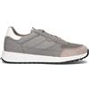 GEOX Sneaker uomo grigia