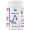 LABORATORI NUTERGIA Ergymag 90 Capsule - Integratore Magnesio e Vitamine B