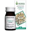 Arcangea srl Iperico 60cps