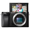 Sony Alpha 6100 Body (ILCE-6100)