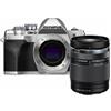 Olympus / OM System Olympus OM-D E-M10 Mark IV Argento + M.ZUIKO DIGITAL ED 14‑150mm F4‑5.6 II