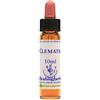 NATUR Srl CLEMATIS ESS 10ML INGL HERBS