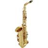 YAMAHA YAS-62 04 SASSOFONO CONTRALTO LACCATO ORO + CUSTODIA E BOCCHINO