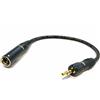 EXTREME CAVO ADATTATORE DA SHURE TQG MINI CANNON 4 POLI NEUTRIK REAN MASCHIO A MINI JACK 3.5 SENNHEISER EW MASCHIO