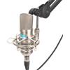 ALCTRON MC001 MICROFONO A CONDENSATORE DA STUDIO A DIAFRAMMA LARGO