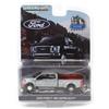 Greenlight RAW CHASE 1/64 2020 Ford F-450 Platinum Super Duty Dually Pickup Truck 51394-B